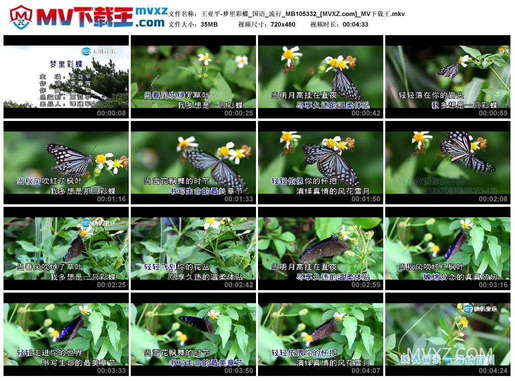 王亚平-梦里彩蝶_国语_流行_MB105332